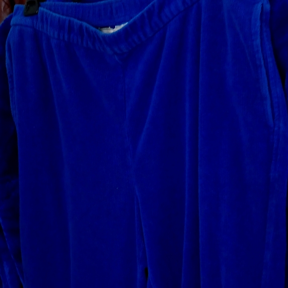 Allison Daily pants sz 14, a deep blue color. - Picture 1 of 3